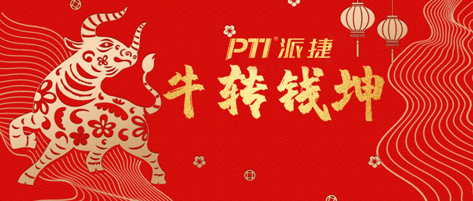 PTI 2021春节放假通知(images 1)