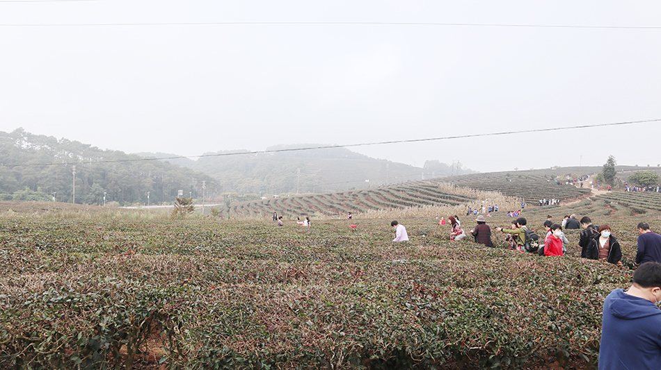 每一场旅行都将是成长的回忆(images 5)