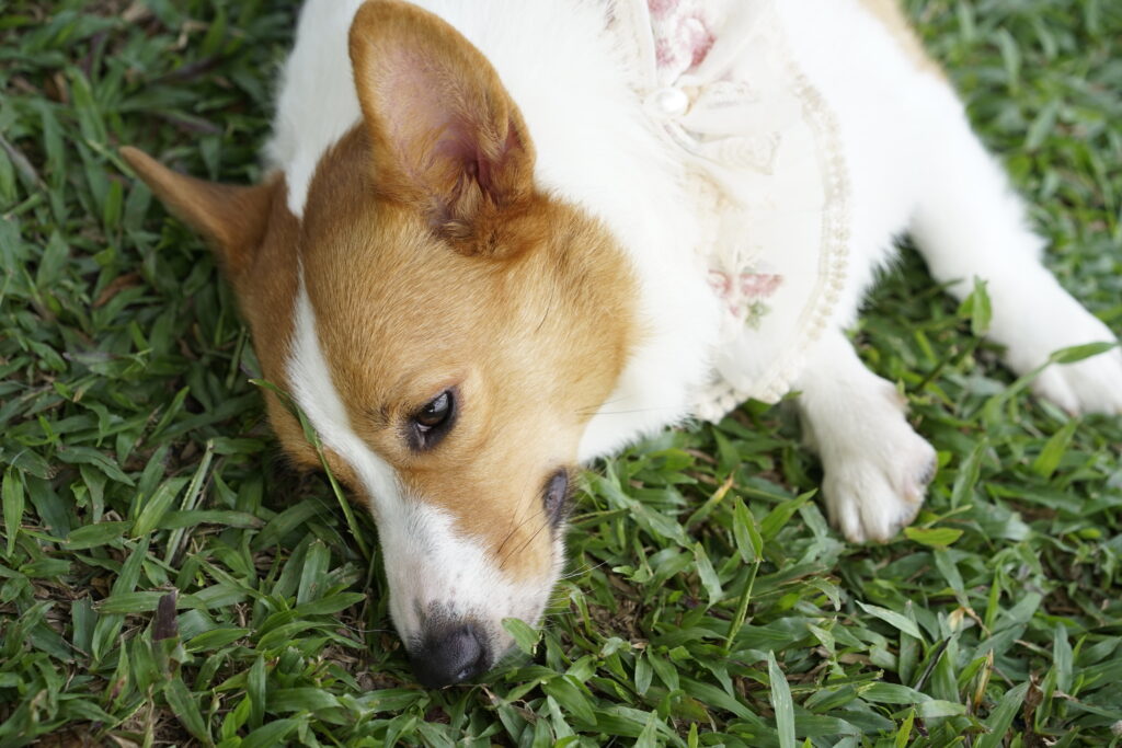 PTI八月团建-热浪来袭（images 5）